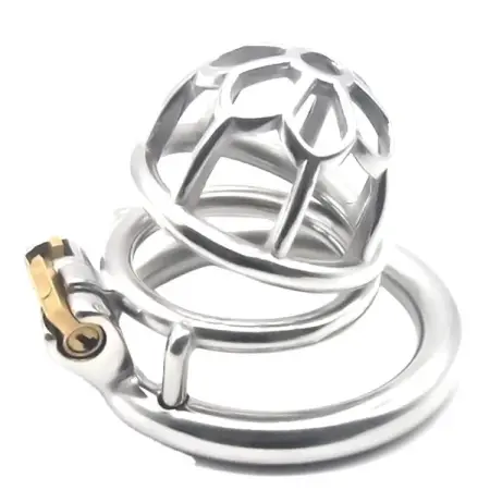 Stainless Steel Chastity Devices Cock Cage Penis Lock Cage for Men