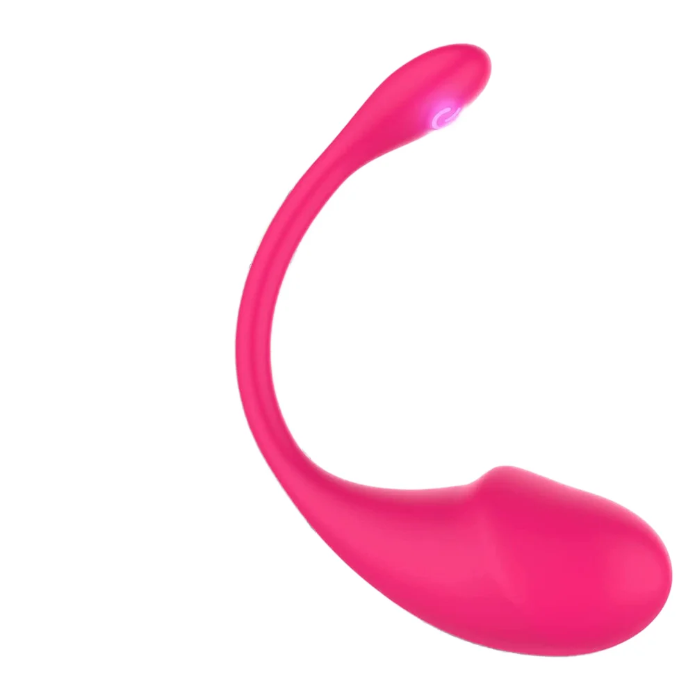 USB Controlled Female 10 Frequency Silicone Clitoris Stimulating Rose Vibrator Long Distance Sex Toys for Women