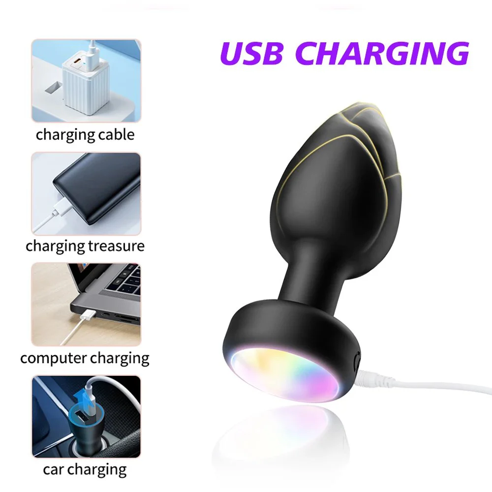 Colorful Adult Sex Toy Remote Control Touch Screen Fancy Anal Plug Oval Posterior Chamber Electric Metal Plug Silicone