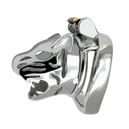 6cm Curved Ring Lock Male Penis Restrain Cage Chastity Device 304 Stainless Steel Cock Cage with Keyholder for Man