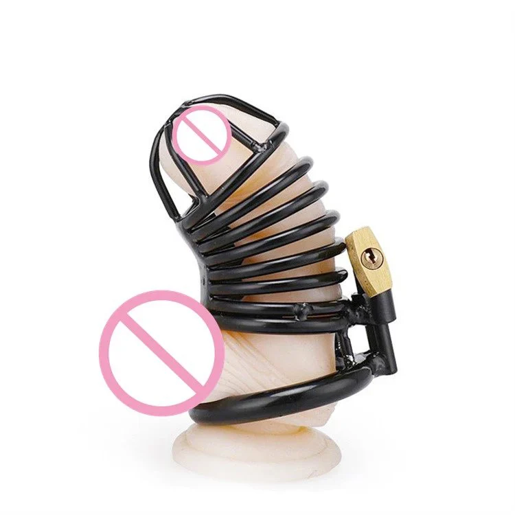 3 Different Sizes Bondage Birds Cock Cages Black Steel Male Chastity Device Cage Sex Toy for Men