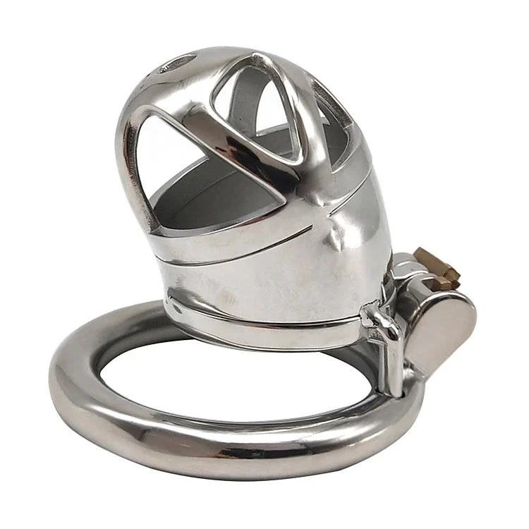 6cm SM Male Chastity Device Chastity Lock Penis in Cage with Keyholder Metal Chastity Cage for Man