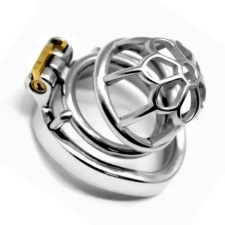 50mm Sm Sex Toys Chastity Lock Penis Cage with Keyholder Male Chastity Device Sex Shop Chastity Cage 304 Stainless Steel