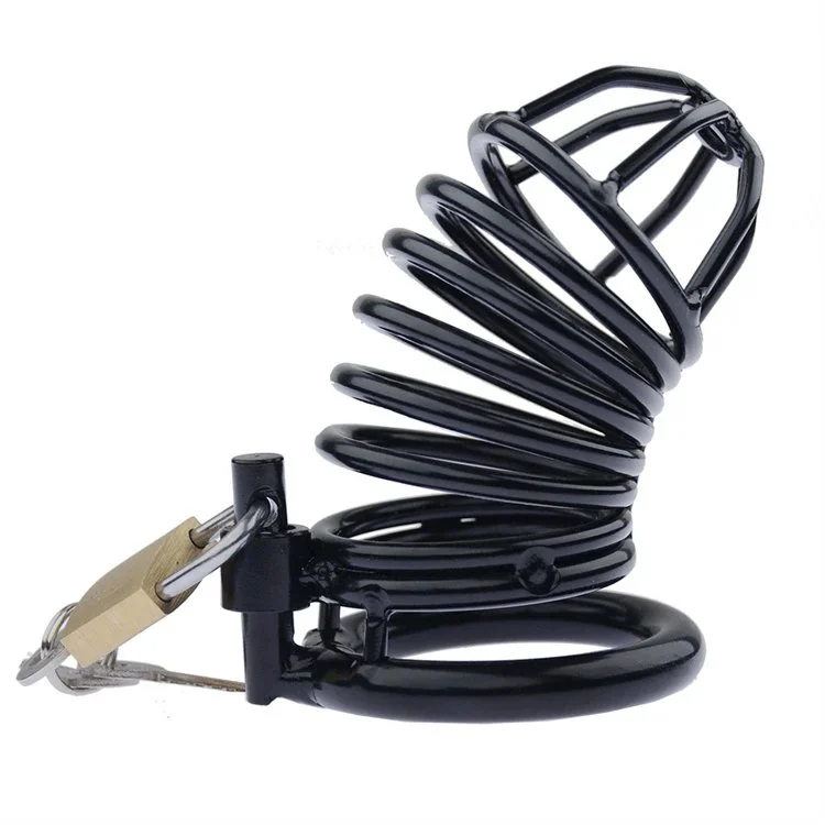 3 Different Sizes Bondage Birds Cock Cages Black Steel Male Chastity Device Cage Sex Toy for Men