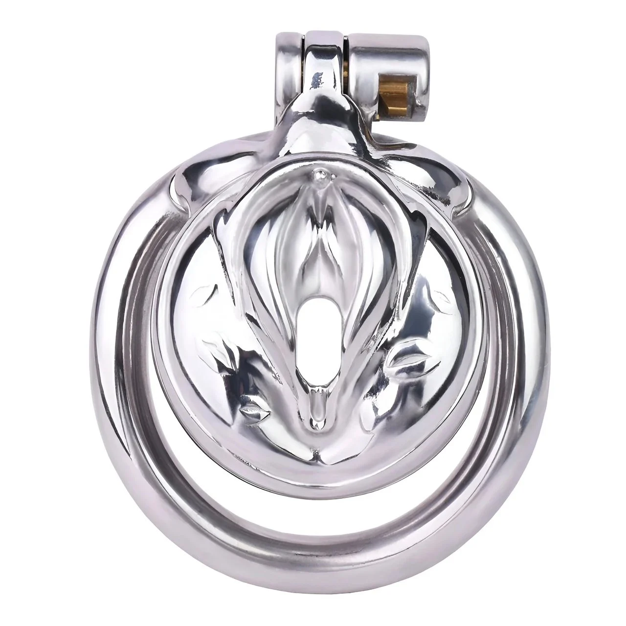 Adult Male Chastity Cage Locking Penis Rings, Small Standard Flat Cock Cage for Men