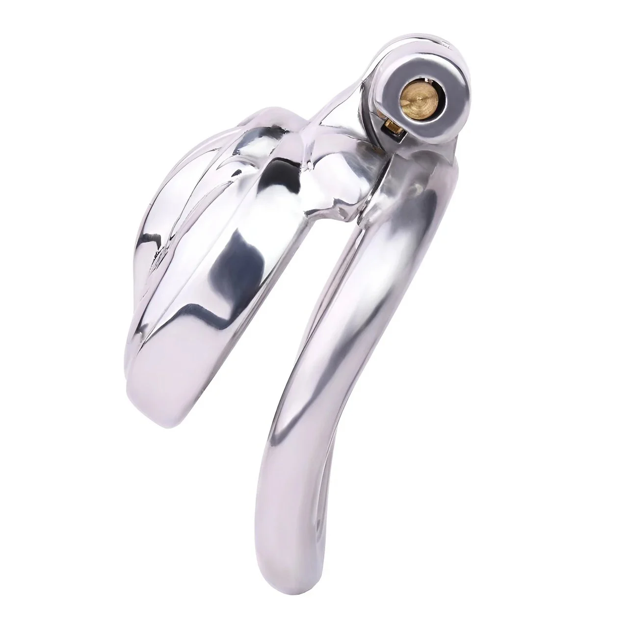 Adult Male Chastity Cage Locking Penis Rings, Small Standard Flat Cock Cage for Men