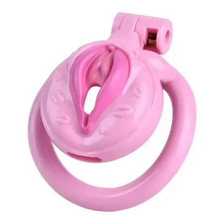Adult Male Chastity Lock Cock Cage Urethral Catheter Penis Ring Chastity Cage for Men Four Clasp Sizes 3D Design