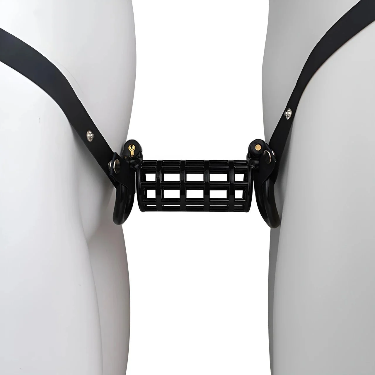 ABS Resin Chastity Lock SM Dick Cage Cock Cages Stimulation Game Sex Toy Chastity Device for Gay