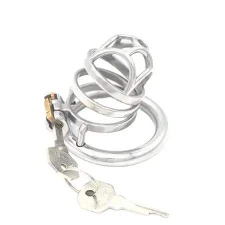 Sex Products Lock Cock Cage Cuckold Chastity Cage Chastity Devices for Man