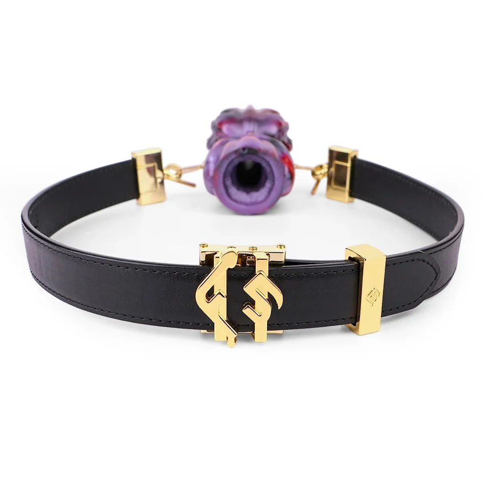 Gilded Gag Set Game Toys Fetish Soft Silicone Gag Leather Bondage Couple Flirting Sex Toys