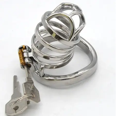 66mm Chastity Lock Penis Cage with Keyholder Chastity Cage Metal Sm Sex Toys for Male Male Chastity Device