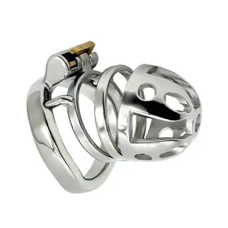 Adult Games Metal Hollow Male Chastity Lock Penis Cock Cage for Men Sex Toys