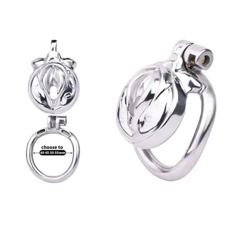 Adult Male Chastity Cage Locking Penis Rings, Small Standard Flat Cock Cage for Men