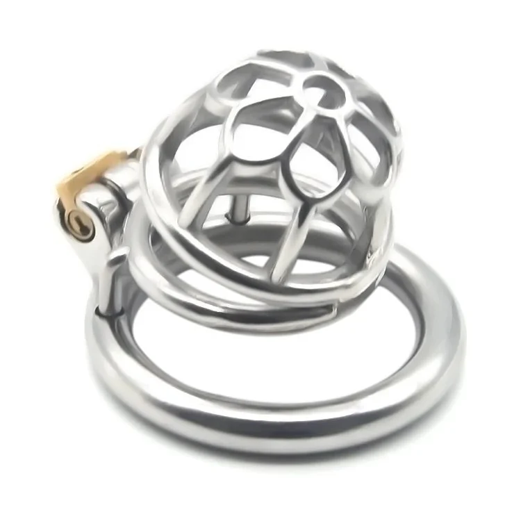 Stainless Steel Chastity Devices Cock Cage Penis Lock Cage for Men