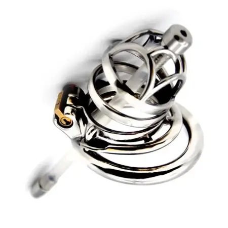 6cm Lock Penis in Cage Cock Cage Chastity Cage with Cock Ring Metal Chastity Device for Male