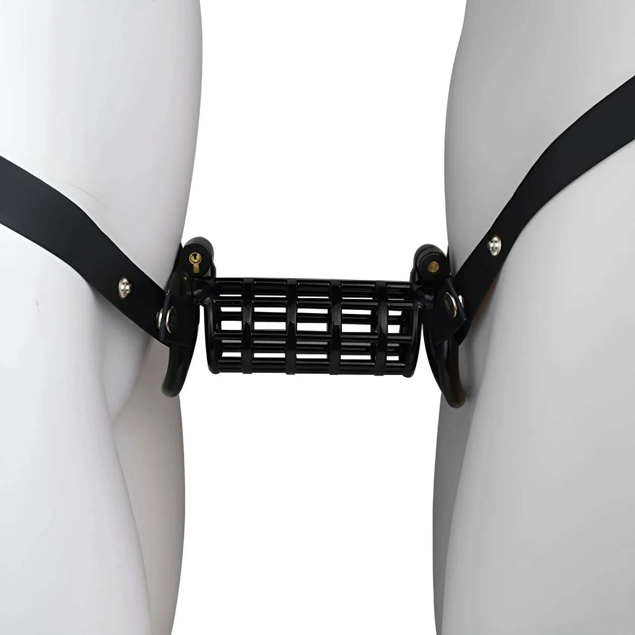 ABS Resin Chastity Lock SM Dick Cage Cock Cages Stimulation Game Sex Toy Chastity Device for Gay