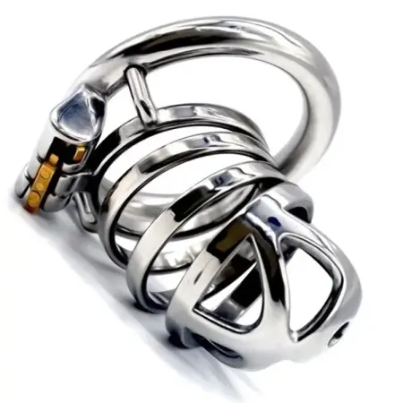 6cm Chastity Cage SM Male Chastity Device Metal Cock Cage Chastity Lock Penis in Cage with Keyholder