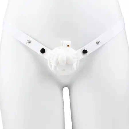 ABS Resin Chastity Lock Cage Wearable Sex Toys Penis Chastity Lock Bondage Belt Sex Toy for Men Gay Alternative Sex Product