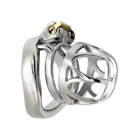 Adult Store Stainless Steel Imitated Crown Special Design Fetish Lover Male Chastity Device Arc Ring Cock Cage for Man