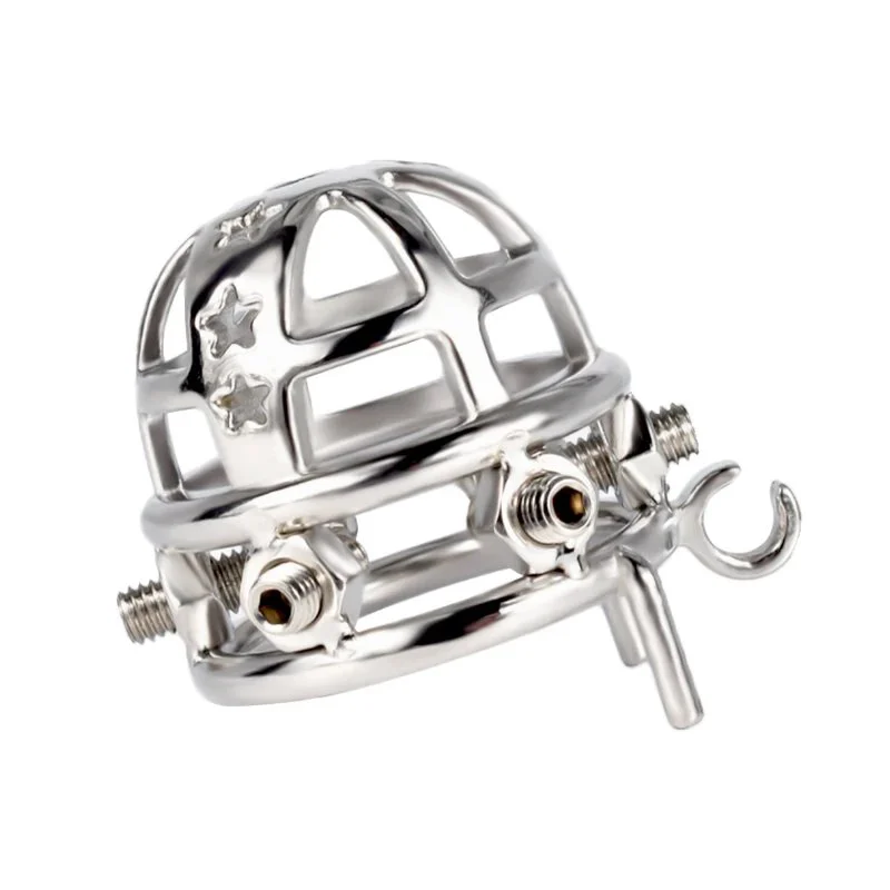Cock Cage Metal House Chastity Devices Domination Couple Fetish Male Chastity Strict Cock Cage Harness