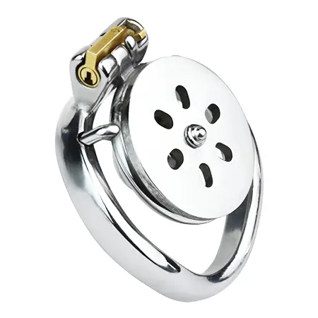 Flat Disc Inverted Chastity Cage with Steel Ball and Urethral Plug Cock Cage Male Toy Chastity Cage Lock Chastity