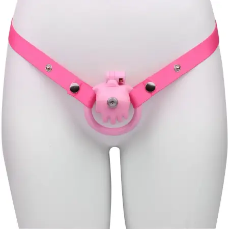 Male Chastity Lock Wearable High Quality Resin Penis Wearable Lock with Catheter Chastity Device Alternative Sex Toys