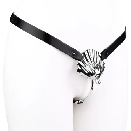 Male Penis Chastity Cage Wearable Metal Penis Restraint Lock with Urinary Catheter and Stainless Steel Anal Plug Suitable