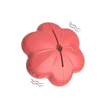 New Hot Female Breast Clip Vibrator 10 Vibration Wireless Sex Toys Vibrating Nipple Clamps