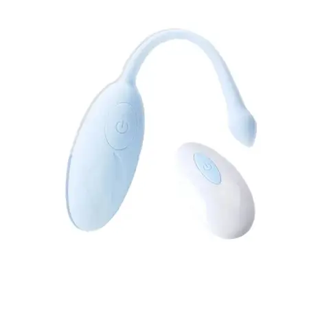 Strong Vibration Mute Egg Vibrator Sex Toy for Women Remote Controlled Clitoris Stimulator G- Spot Vibrators for Women